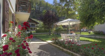 Sous les Moulins - Chezery-forens