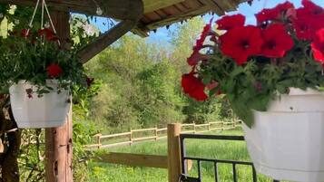 DĂ©tail de lâextĂ©rieur