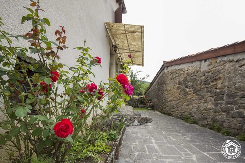 Situé au bord de la rivière d'Ain qui se transforme au fil des crues. C'est, entre autre pour cela,