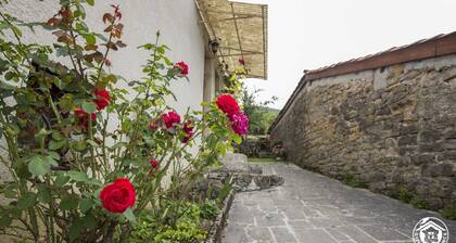 Situé au bord de la riviÚre d'Ain qui se transforme au fil des crues. C'est, entre autre pour cela,
