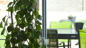 A potted plant in a room with a glass table and chairs.