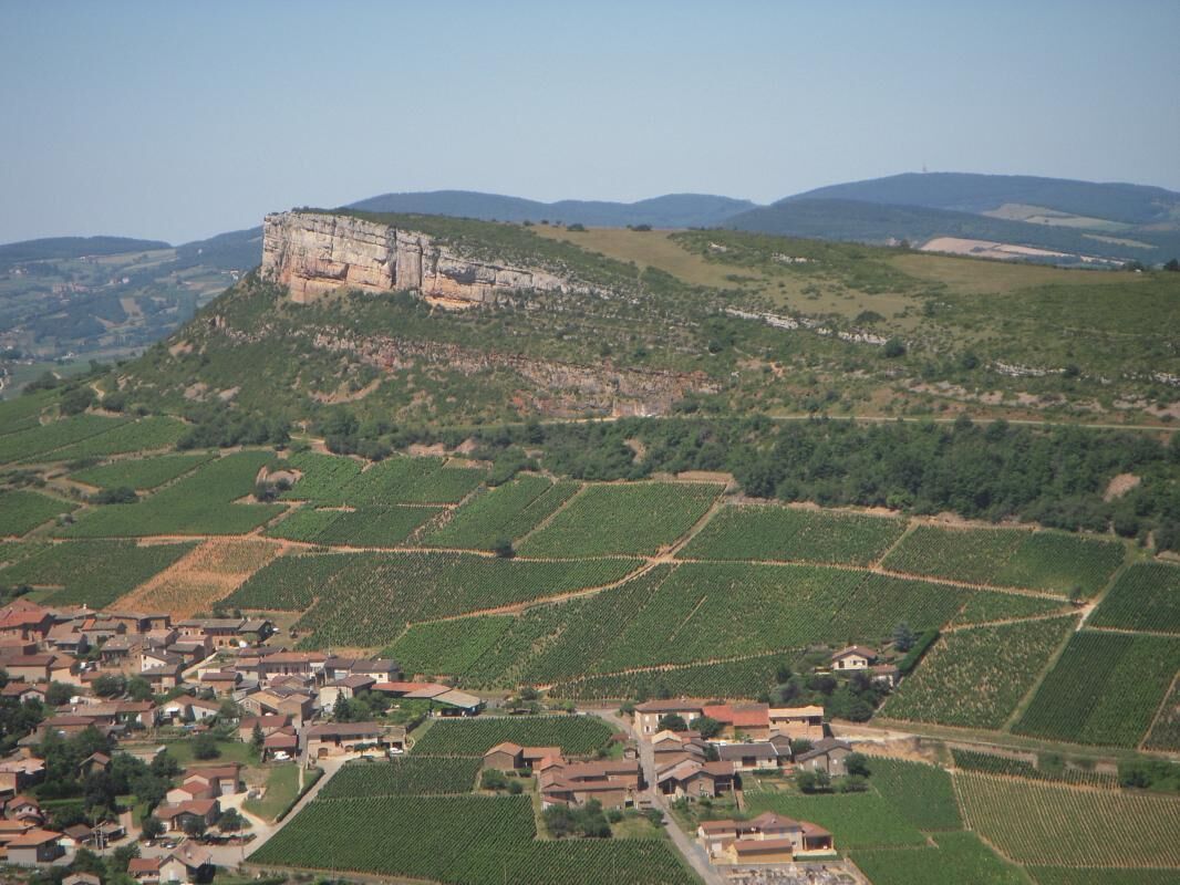 Paesaggio rurale con una scogliera imponente e vigneti.