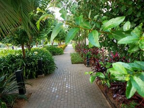 Property grounds