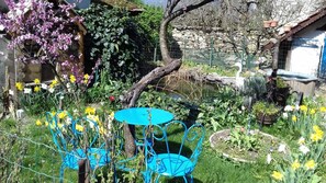 Outdoor dining - Chez Fefe - Contrevoz (CONTREVOZ)