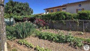 Jardim residencial com diversas plantas e uma casa ao fundo.