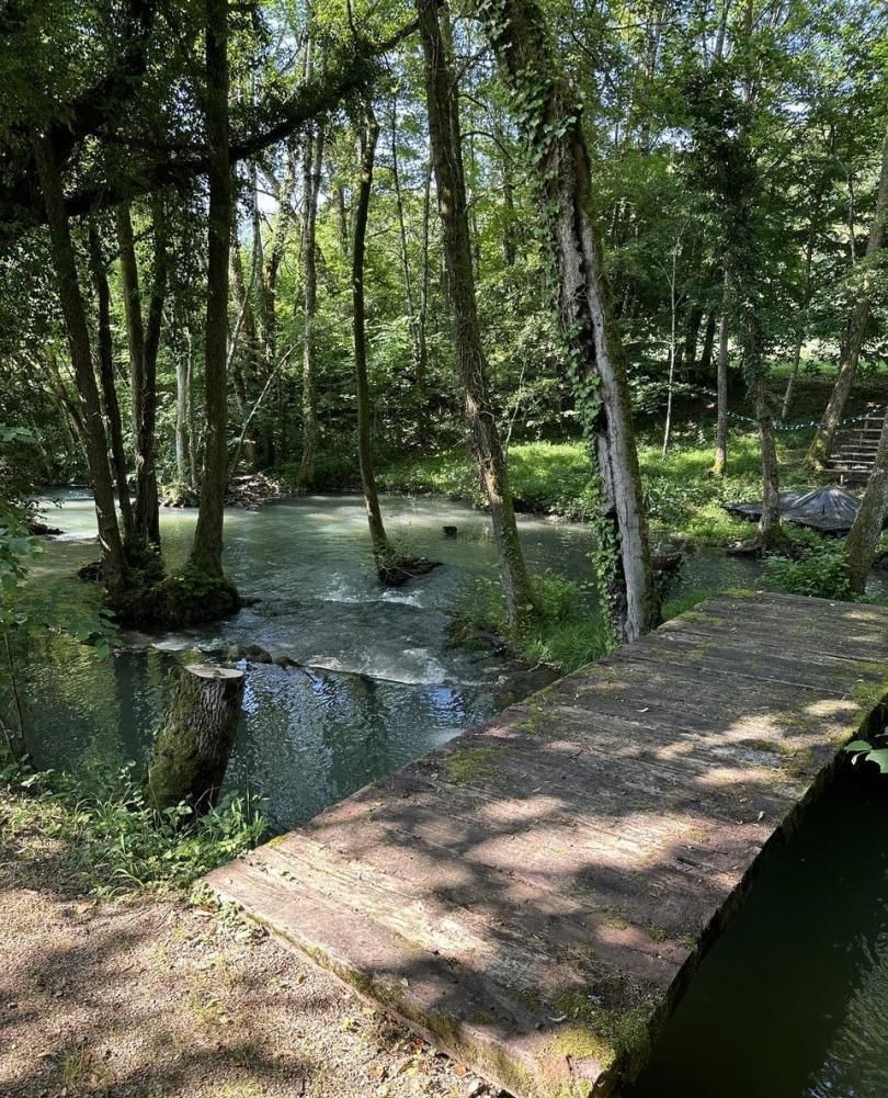Une zone boisée avec un pont en bois qui enjambe un ruisseau.