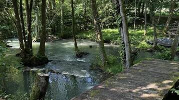 Une zone boisée avec un pont en bois qui enjambe un ruisseau.