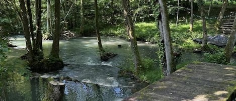 Une zone boisée avec un pont en bois qui enjambe un ruisseau.