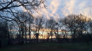 2 slaapkamers, een strijkplank/strijkijzer, gratis wifi