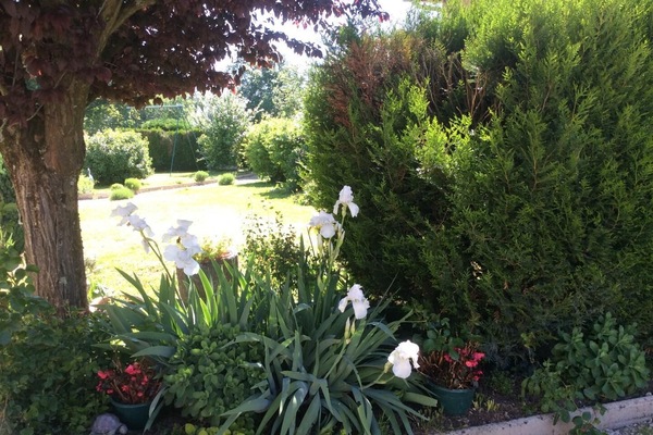 Photo4