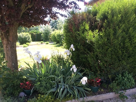 Property grounds. Gîte des Hautes Corcelles