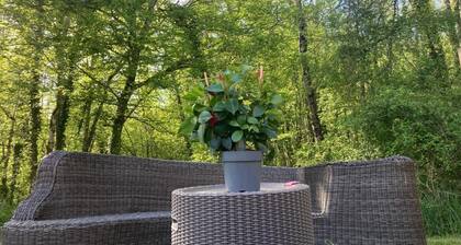 GĂźtes du Lac -Le Seran