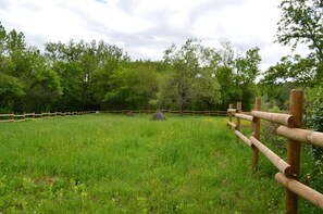 Surrounded by lush greenery and vibrant flowers, this serene outdoor space offers a peaceful retreat.