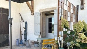 A patio with a table and chairs, a potted plant, and a metal fence.