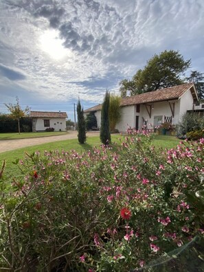 Property grounds - 1 - 2 - 3 - Soleil - Saint Jean SUR Veyle (SAINT JEAN SUR VEYLE)