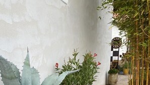 A courtyard with potted plants, including succulents and a bamboo plant, on a stone floor.