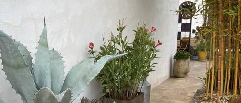 DĂ©tail de lâextĂ©rieur