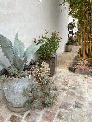 Détail de l’extérieur