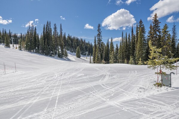 Une piste de ski enneigée, bordée d’arbres, sous un ciel dégagé.