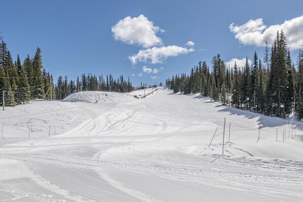 Une piste de ski enneigée, avec un ciel dégagé et des arbres à feuilles d’aiguilles.