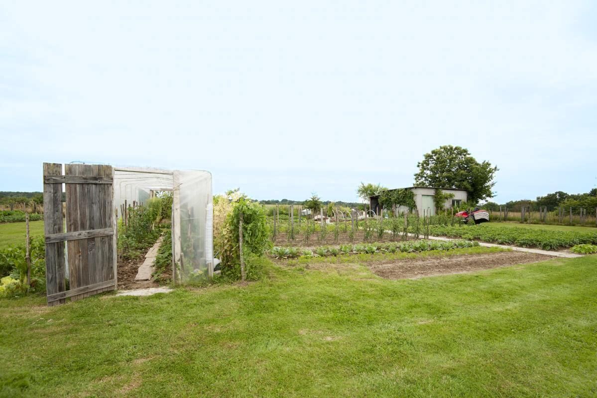 A garden with a wooden gate, a greenhouse, and a tractor in the background.