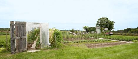 A garden with a wooden gate, a greenhouse, and a tractor in the background.