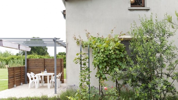 A patio area with a white table and chairs, a wooden pergola, and a garden with various plants.