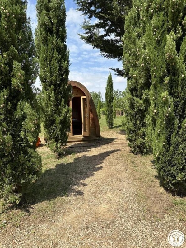 A rustic wooden structure with an arched entrance, surrounded by tall evergreen trees.