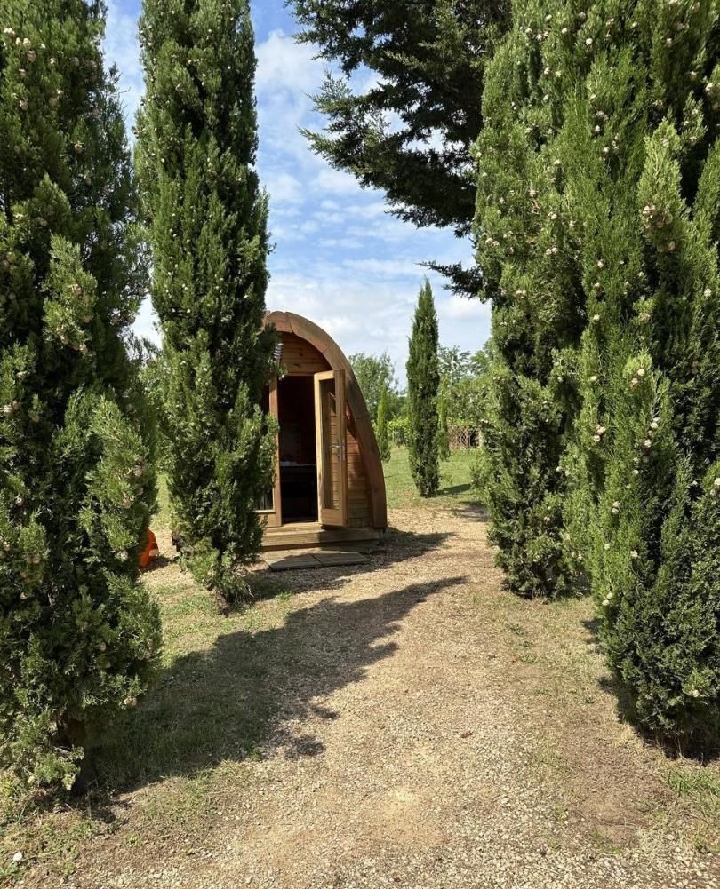 Una estructura rústica de madera con una entrada en arco, rodeada de altos árboles perennes.