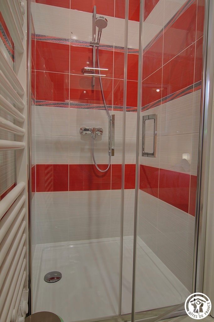 A glass-enclosed shower stall with red and white tiles, a handheld showerhead, and a wall-mounted faucet.