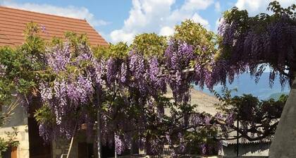 Entre lac et collines