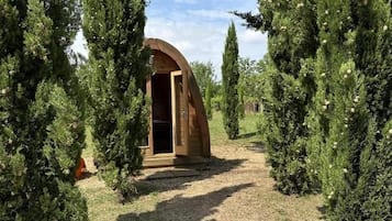 Una estructura rústica de madera con una entrada en arco, rodeada de altos árboles perennes.