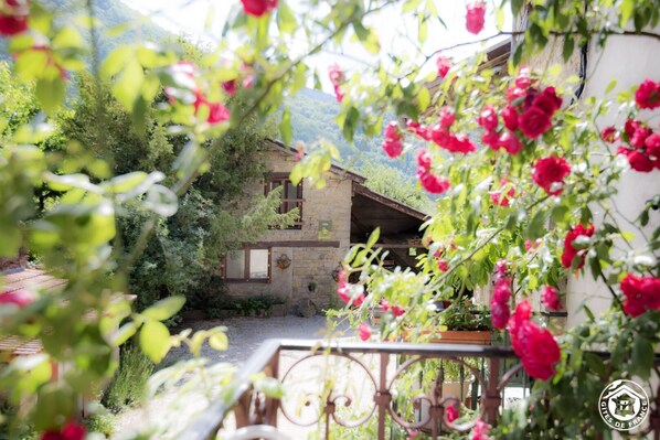 Property grounds - La Petite Forge - Boyeux-saint-jerome (BOYEUX-SAINT-JEROME)