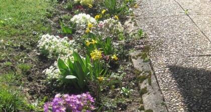 Le Petit Plan - Saint-just