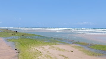 Sun-loungers, beach towels