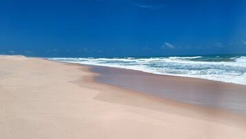 Sun-loungers, beach towels