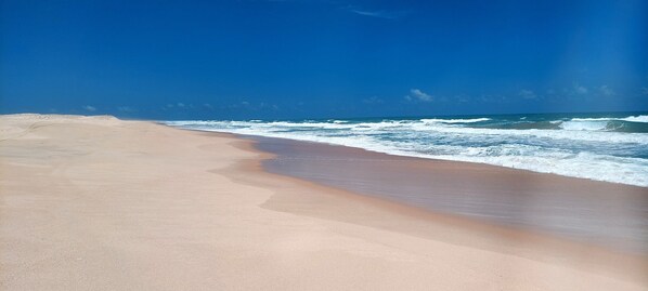 Camastros y toallas de playa 