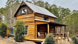 A log cabin with a porch, surrounded by trees and a small Christmas tree.