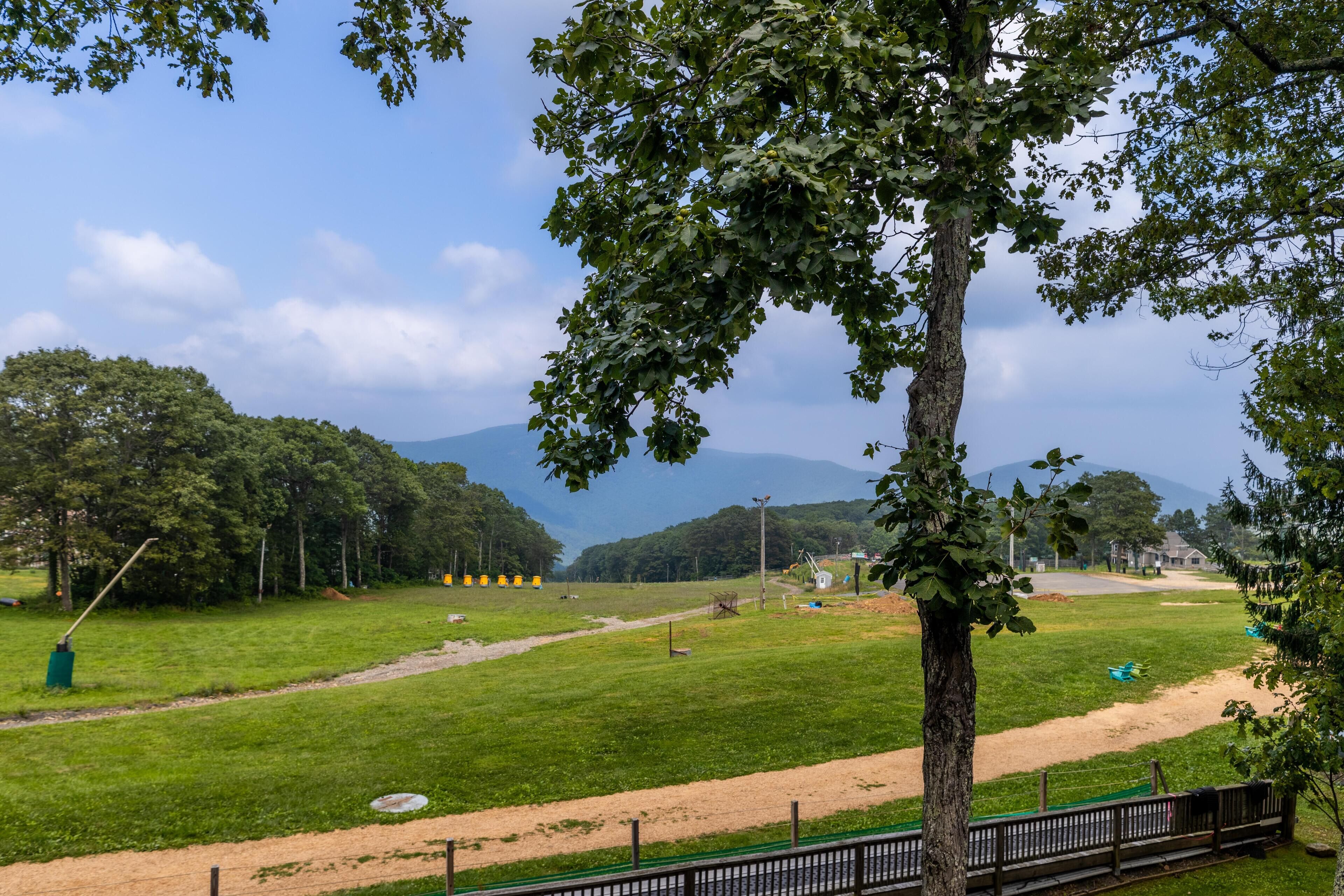 A park with a dirt path, green grass, and trees.