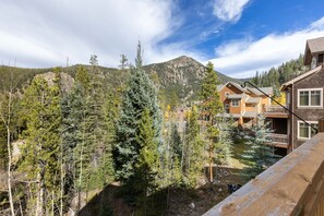 Property grounds - Stunning Townhome with Great Views (Keystone)