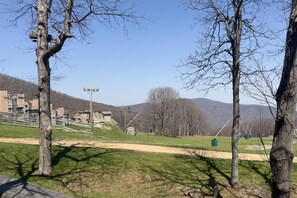 Property grounds - Timbers Studio 47 with Wintergreen Advantage (Wintergreen)