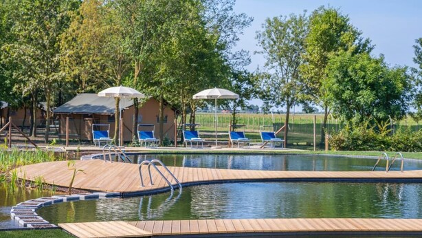 A swimming pool with wooden deck, lounge chairs, and umbrellas.
