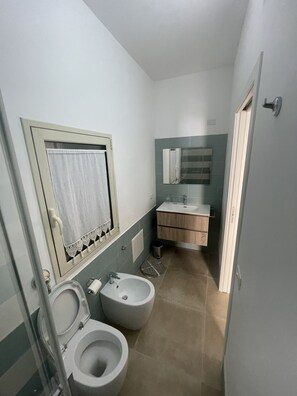 Shower, bidet, towels, soap