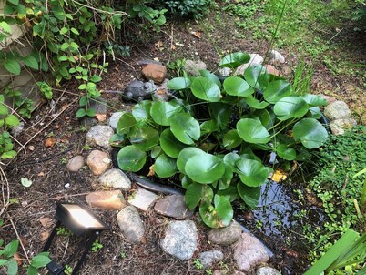 Ferienhaus Annemarie DAS Traumhaus IM Unesco Weltkulturerbe