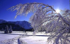 スノー スポーツとスキー