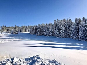 スノー スポーツとスキー