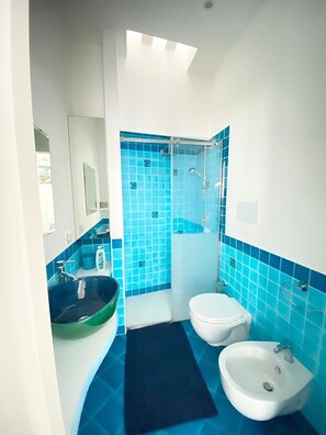 Regadera, secadora de cabello, bidet, toallas 
