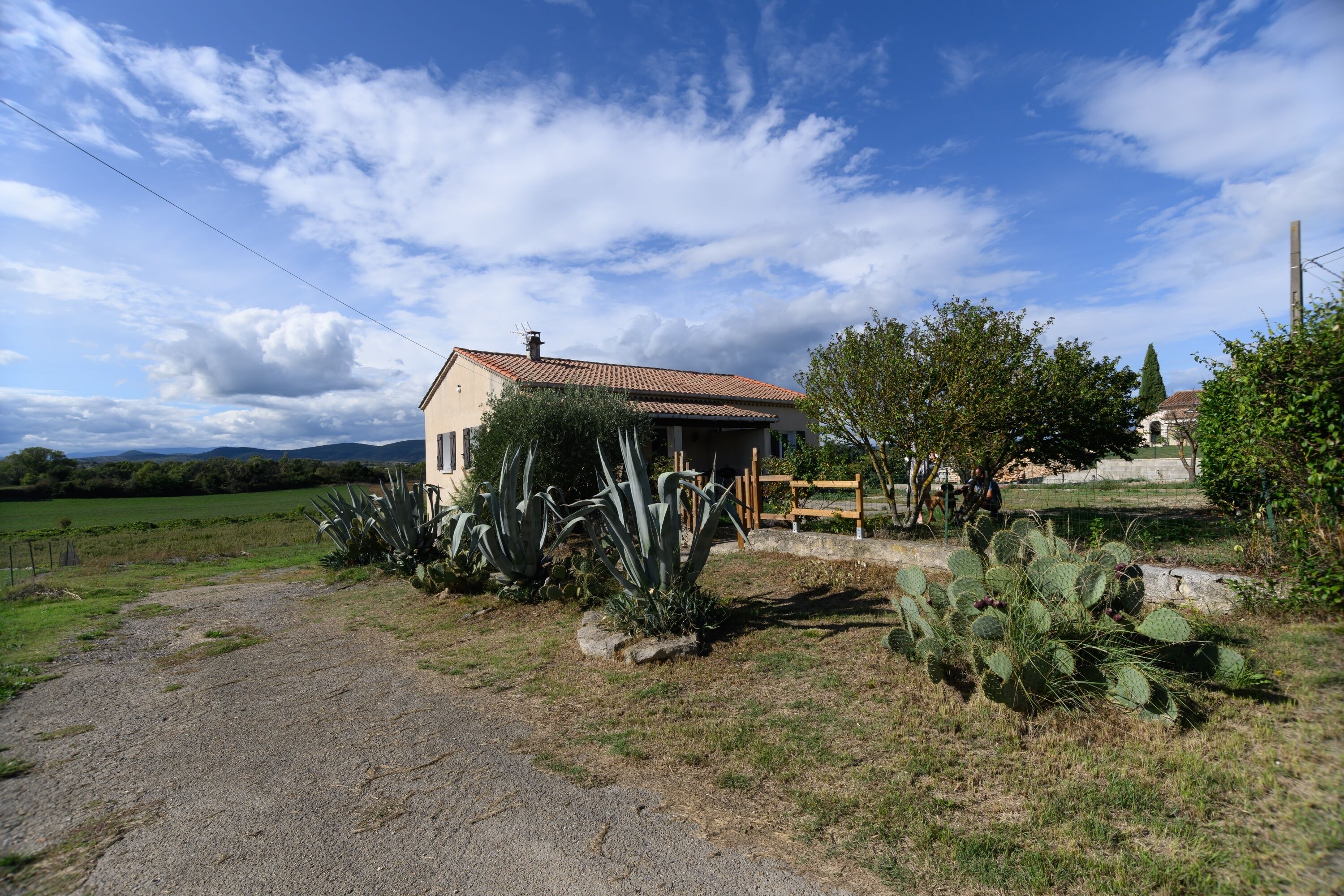 Una casa amb carrerada de grava, envoltada de cactus i una tanca de fusta.