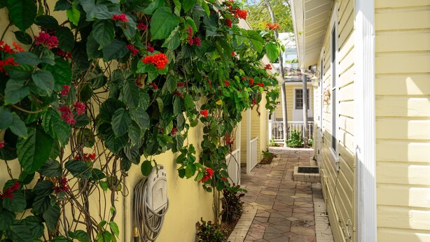 A narrow stone pathway leading to a yellow building with a white door and a small porch area. - Prime Downtown Key West Spot - The Cozy Little Cottage! (Key West)