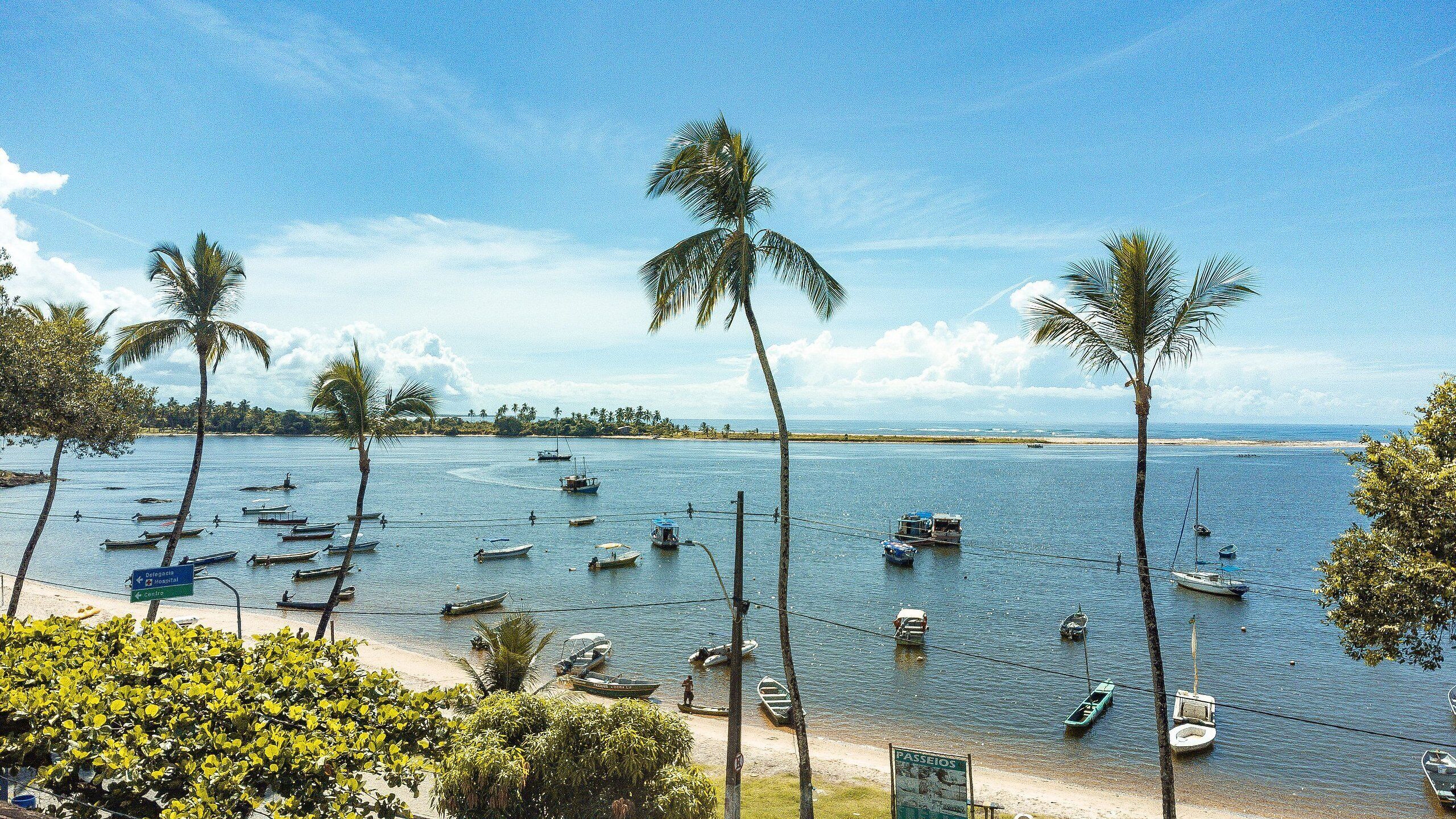 A beach with numerous boats anchored in calm waters, surrounded by palm trees and a clear sky.